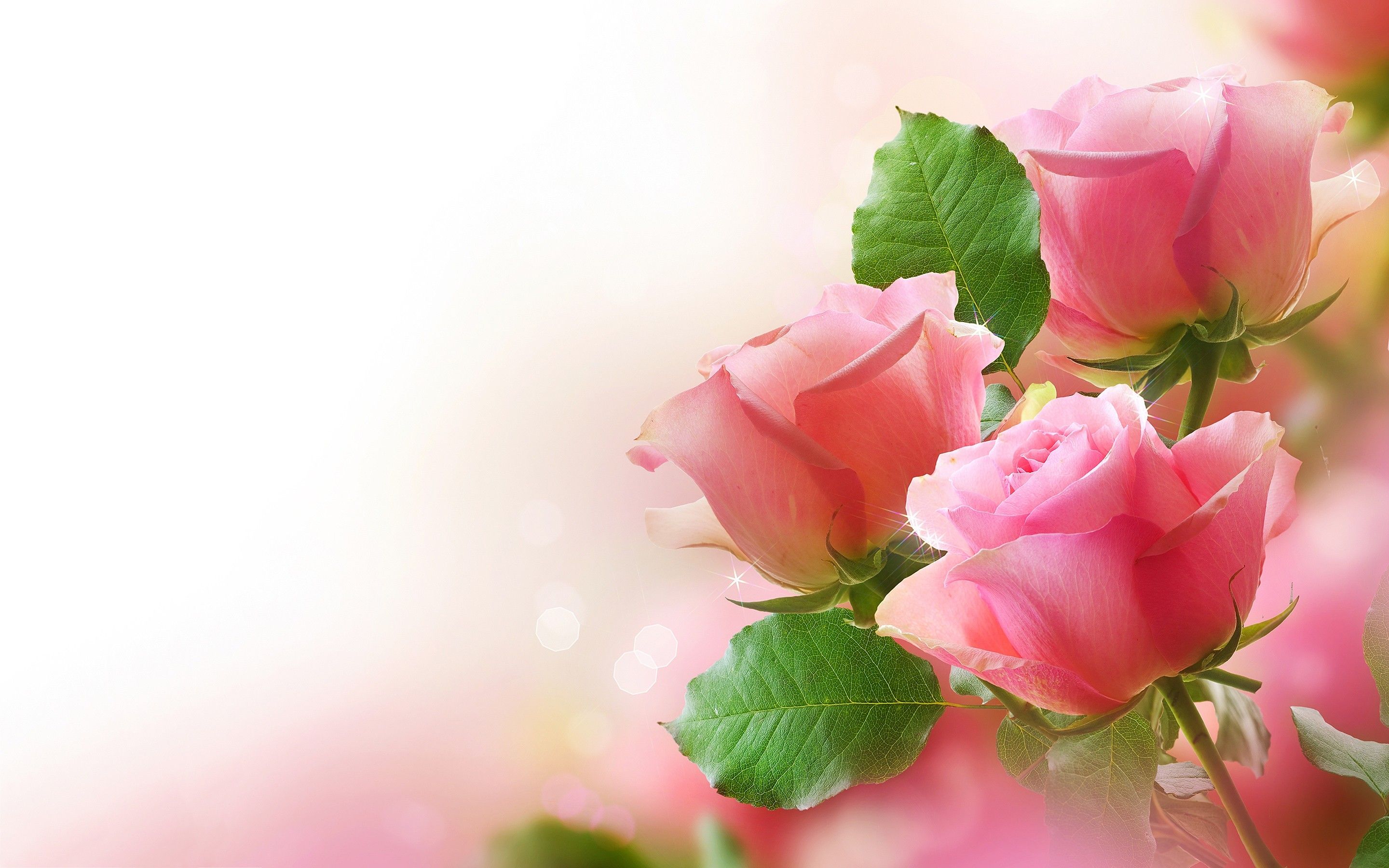 Rose Wallpaper For Desktop 11714 Hd Wallpaper Backgrounds