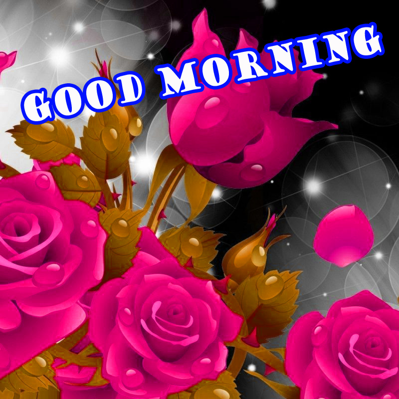 Good Morning Flowers Wallpaper Pictures Photo Download - 1080p Flower Full Hd , HD Wallpaper & Backgrounds