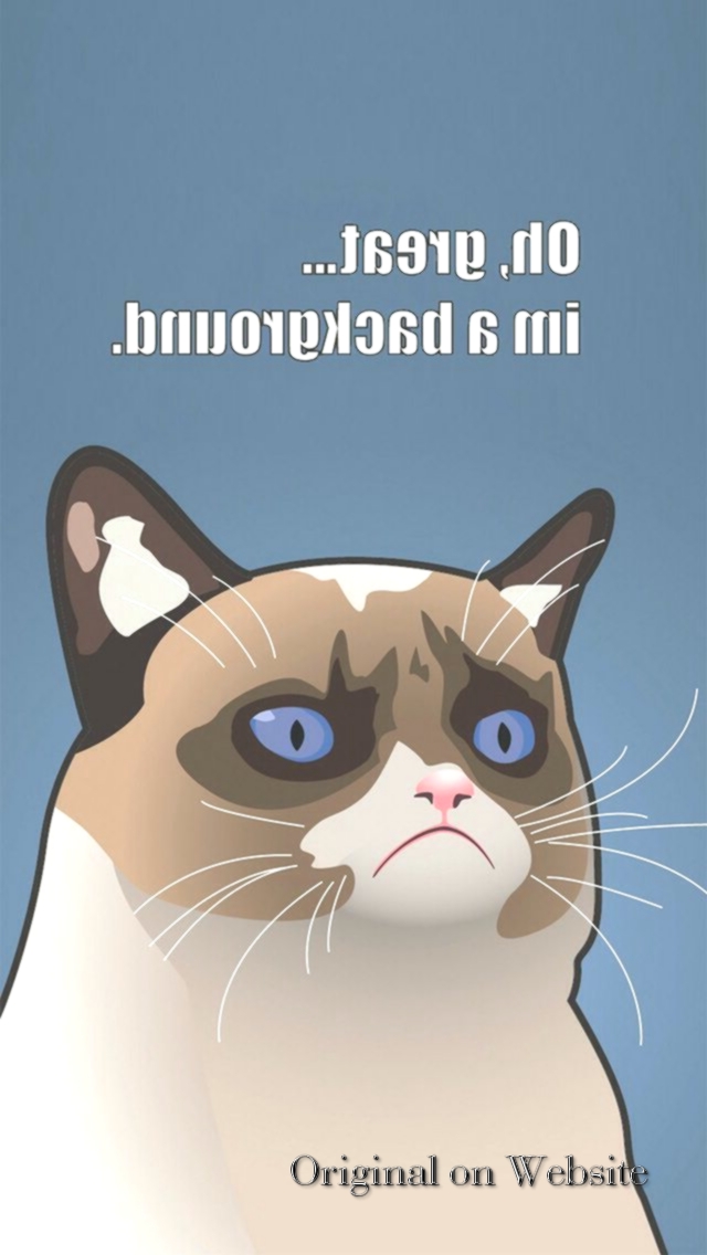 Iphone Wallpaper Aesthetic Meme Wallpaper Iphone Memesuper Iphone Wallpaper Aesthetic Meme Wallpaper Iphone Memesuper