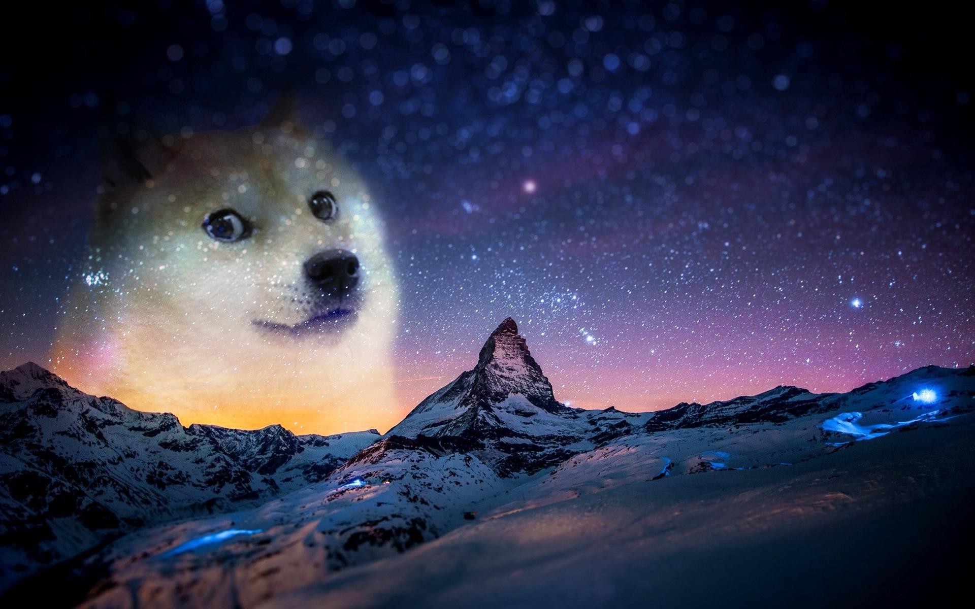 Doge Meme Wallpaper,meme , HD Wallpaper & Backgrounds