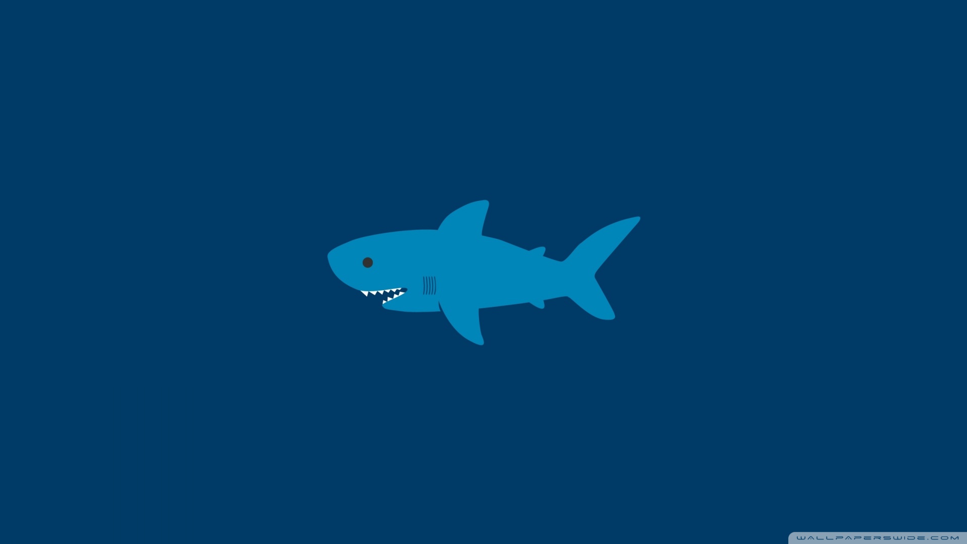 Cartoon Hd Wallpapers - Great White Shark , HD Wallpaper & Backgrounds