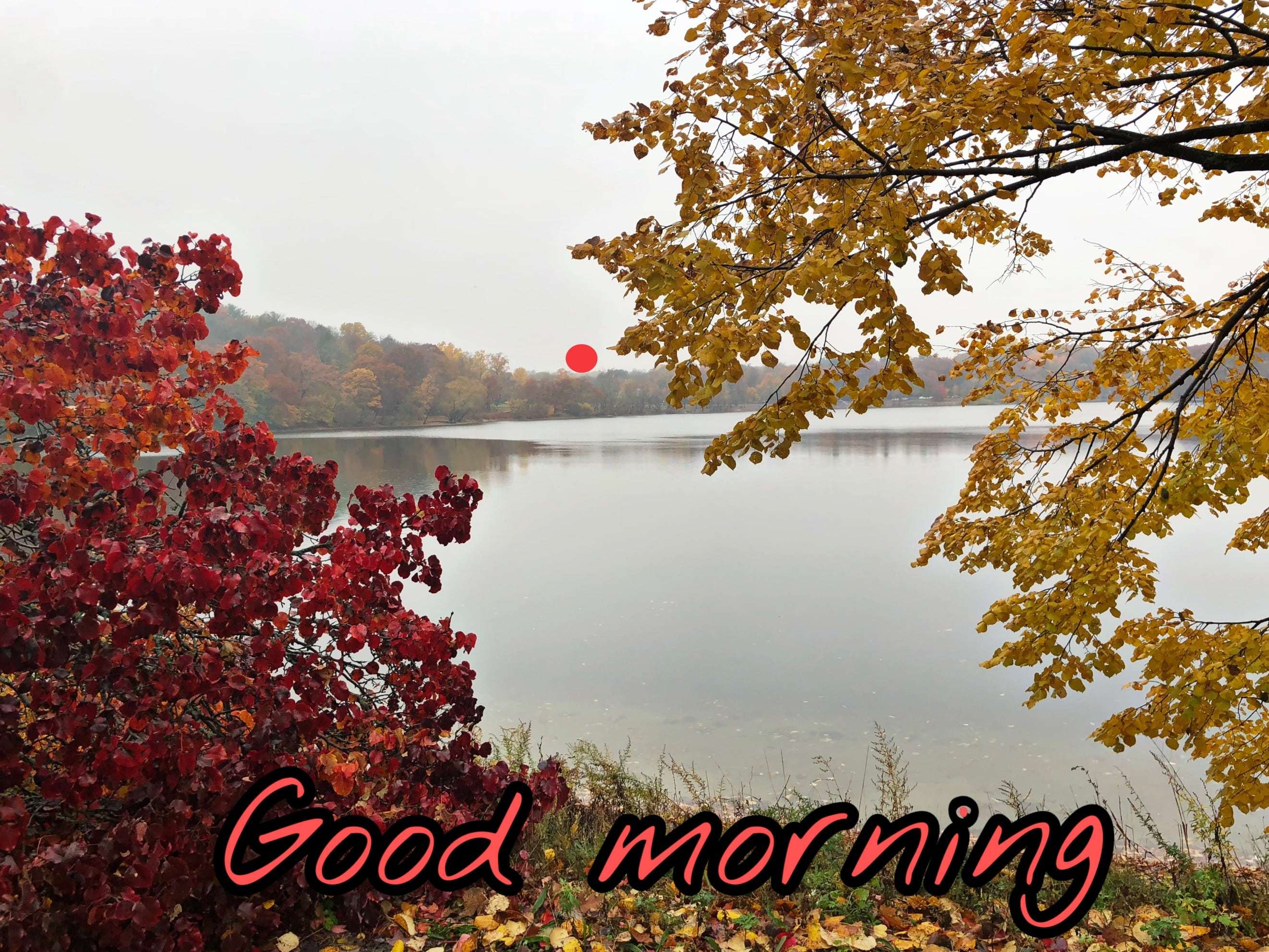 Good Morning Nature Images, Good Morning Wallpaper - Good Morning Images Nature , HD Wallpaper & Backgrounds