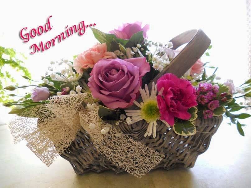 Good Morning Images, Quotes, Wallpapers For Whatsapp - Lovely Morning With Flowers , HD Wallpaper & Backgrounds
