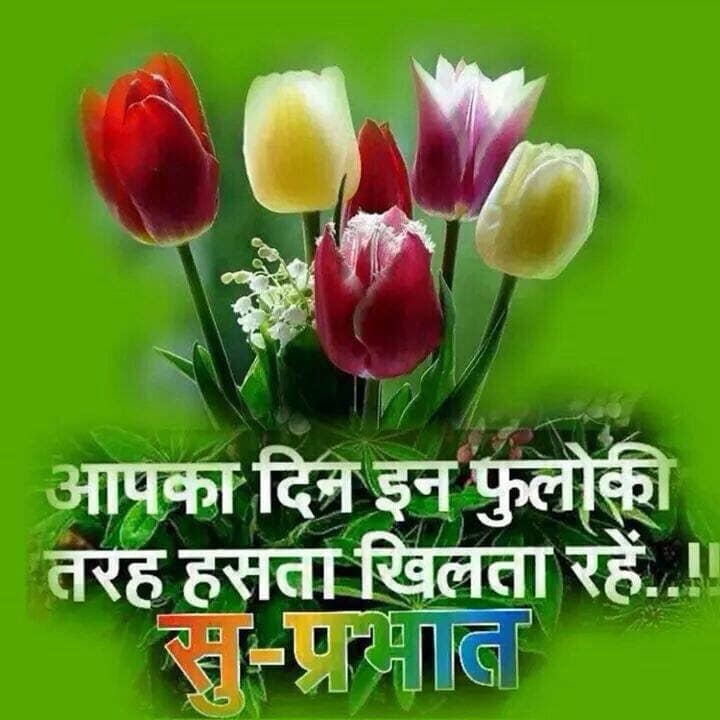 3150 Good Morning Hindi Wallpaper Facebook Whatsapp - Whatsapp Good Morning Wishes In Hindi , HD Wallpaper & Backgrounds