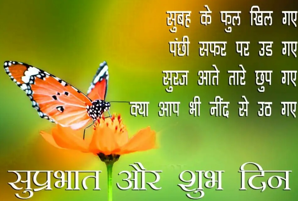 Suprabhat Wallpaper In Hindi - Brush-footed Butterfly , HD Wallpaper & Backgrounds