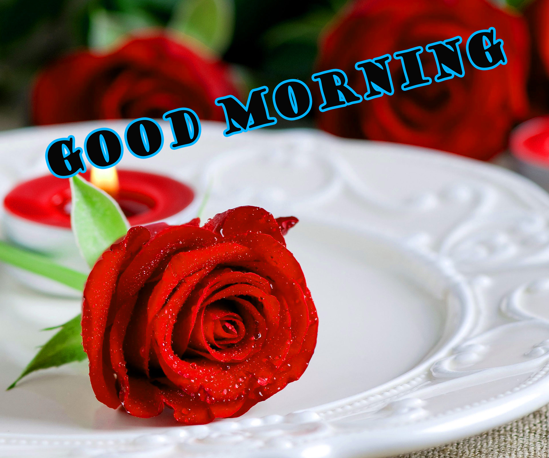 Good Morning Red Rose Wallpaper Photo Hd For Whatsapp - Love Happy Rose Day , HD Wallpaper & Backgrounds