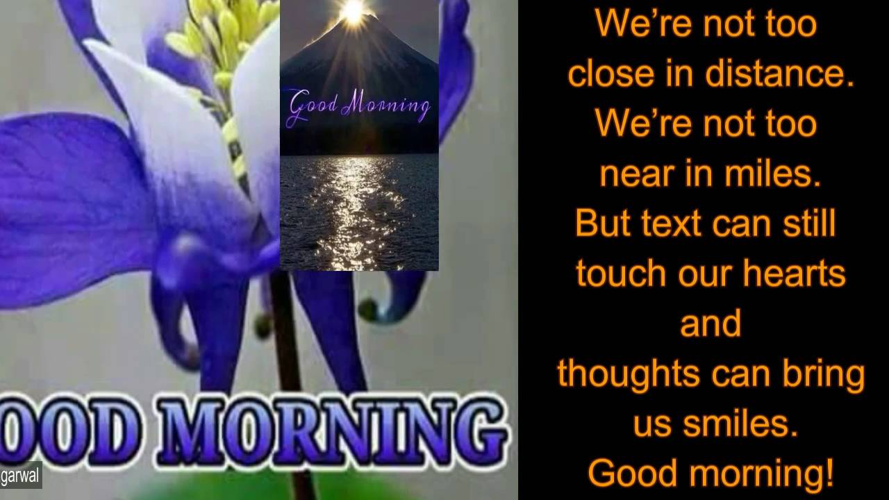 Good Morning Wallpaper Video Download Distance Wish Good Morning