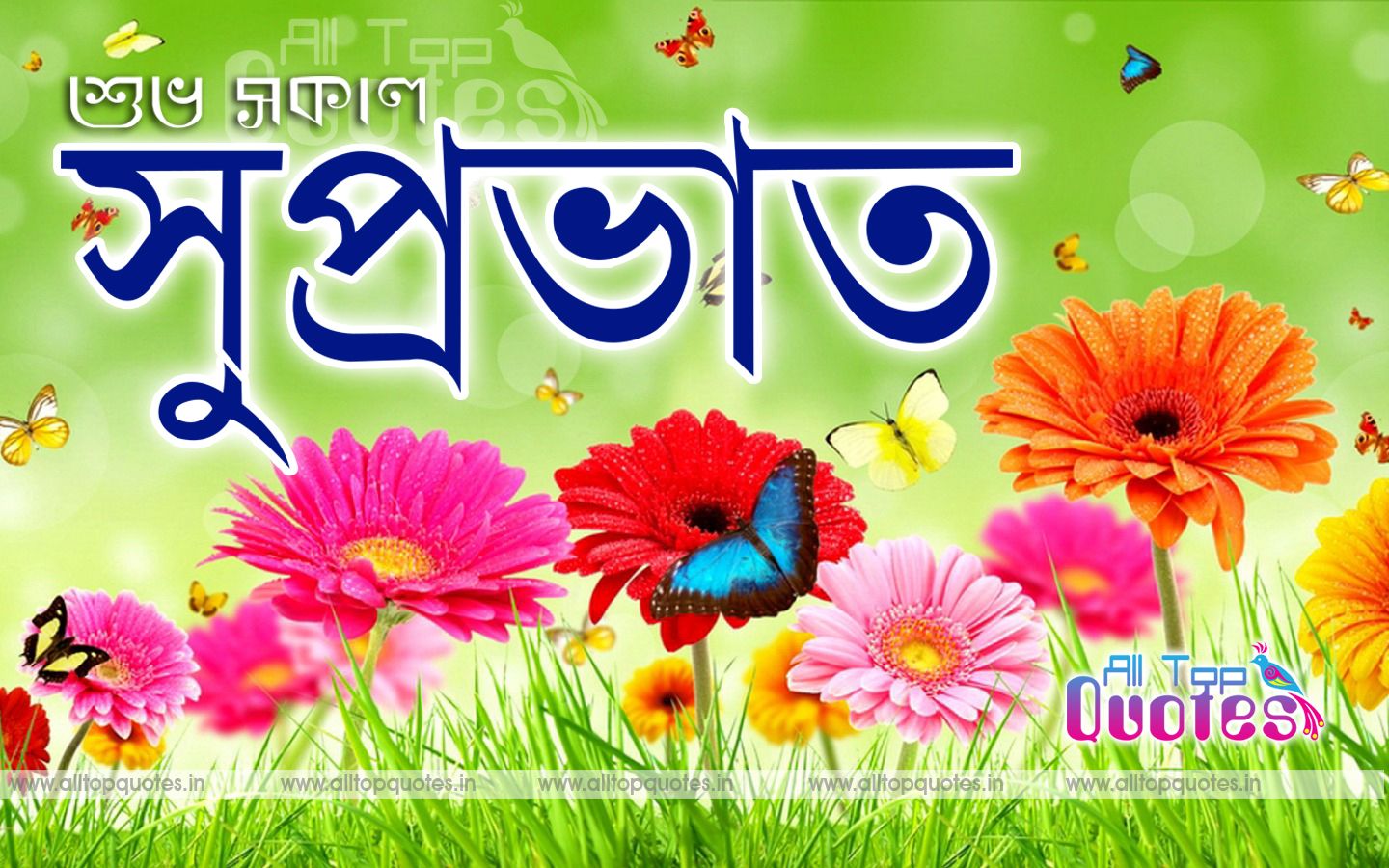 Good Morning Bengali Bangla Quotes - শুভ সকাল ছবি , HD Wallpaper & Backgrounds