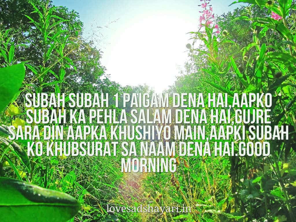 Good Morning Hindi Shayari - Plantation , HD Wallpaper & Backgrounds