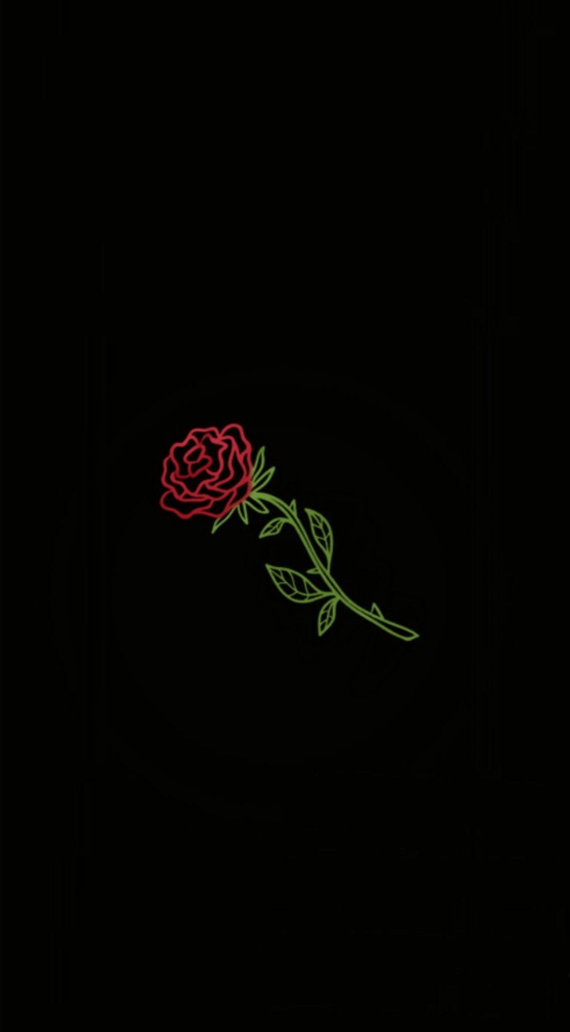 Pinterest ~ @aliciamarie200 ♡ Black Roses Wallpaper, - Carmine , HD Wallpaper & Backgrounds