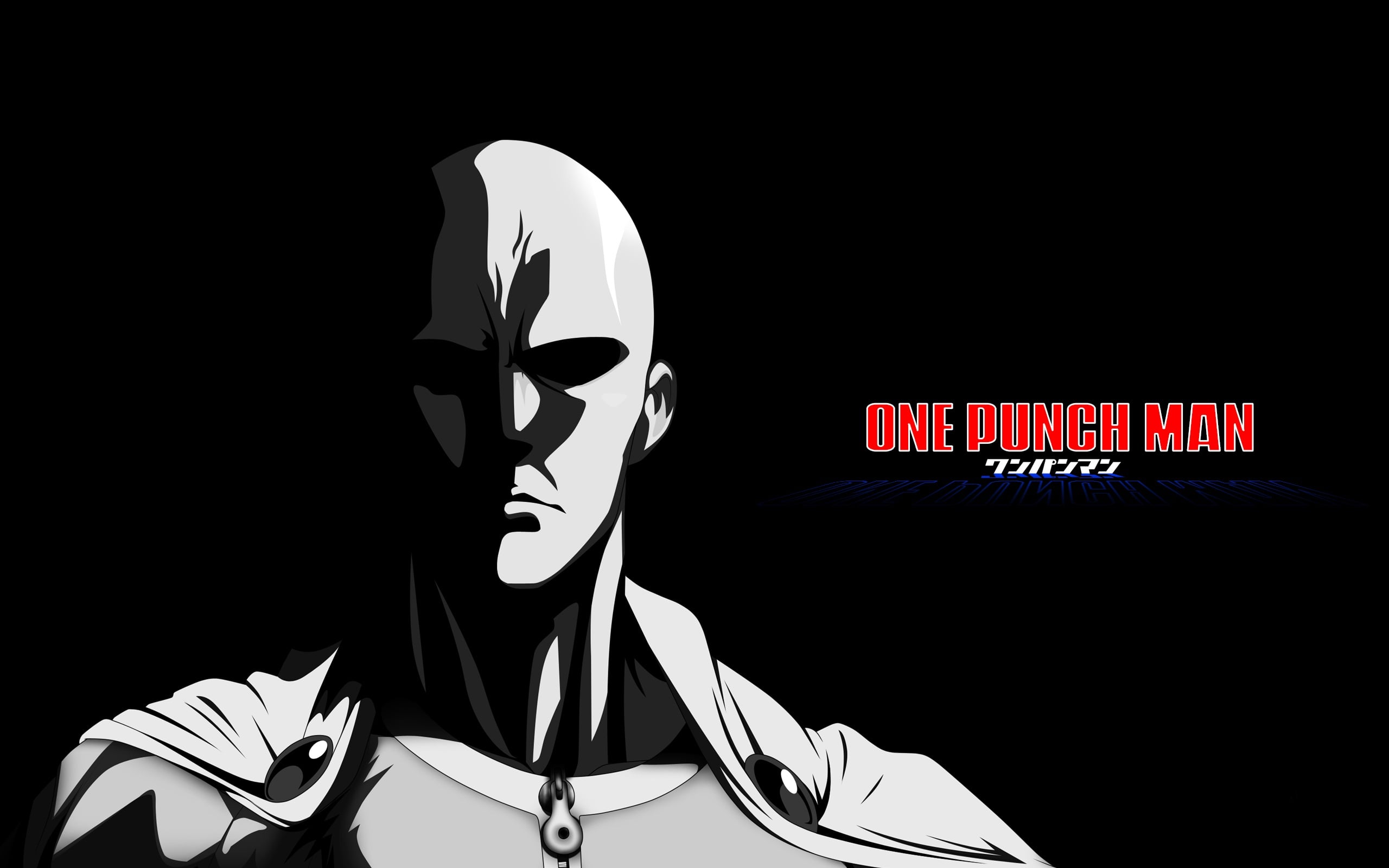 One Punch Man Profile , HD Wallpaper & Backgrounds
