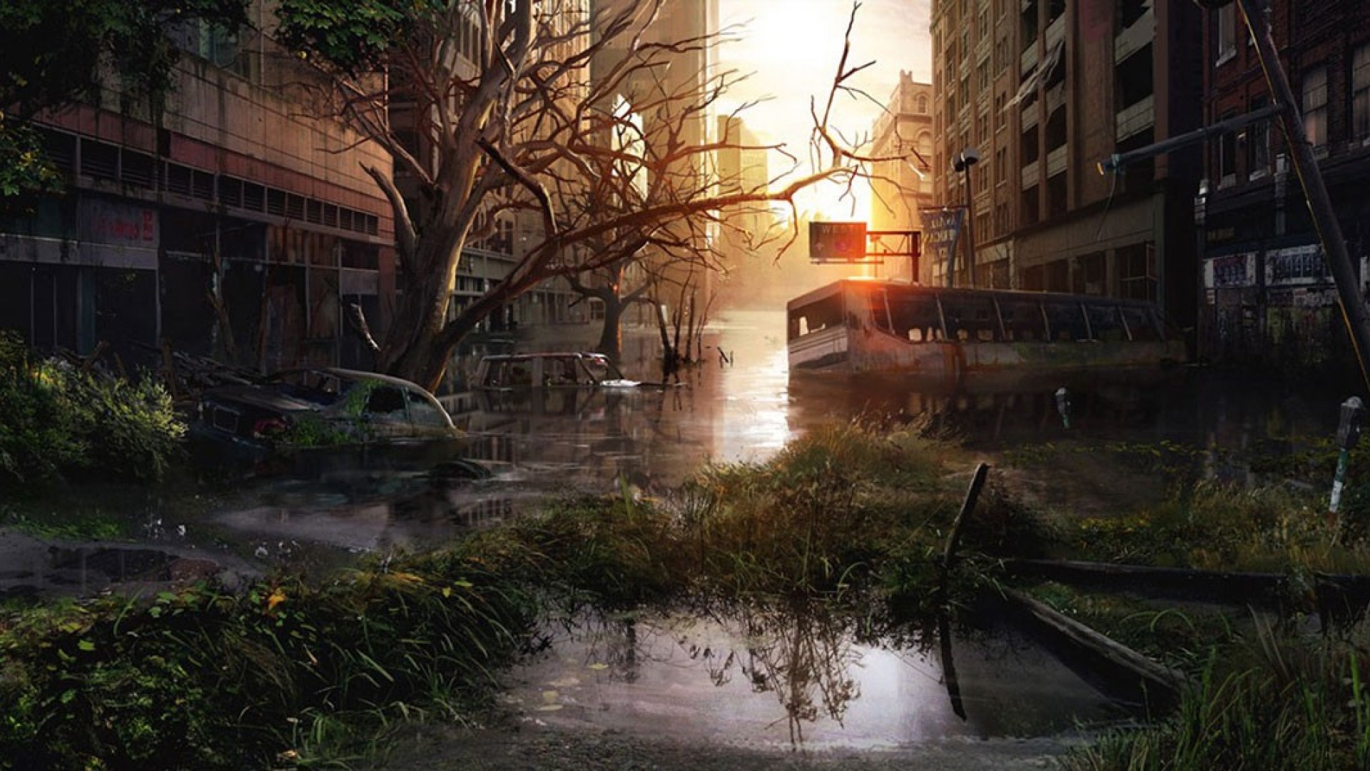 Wallpaper - Last Of Us Concept Art , HD Wallpaper & Backgrounds