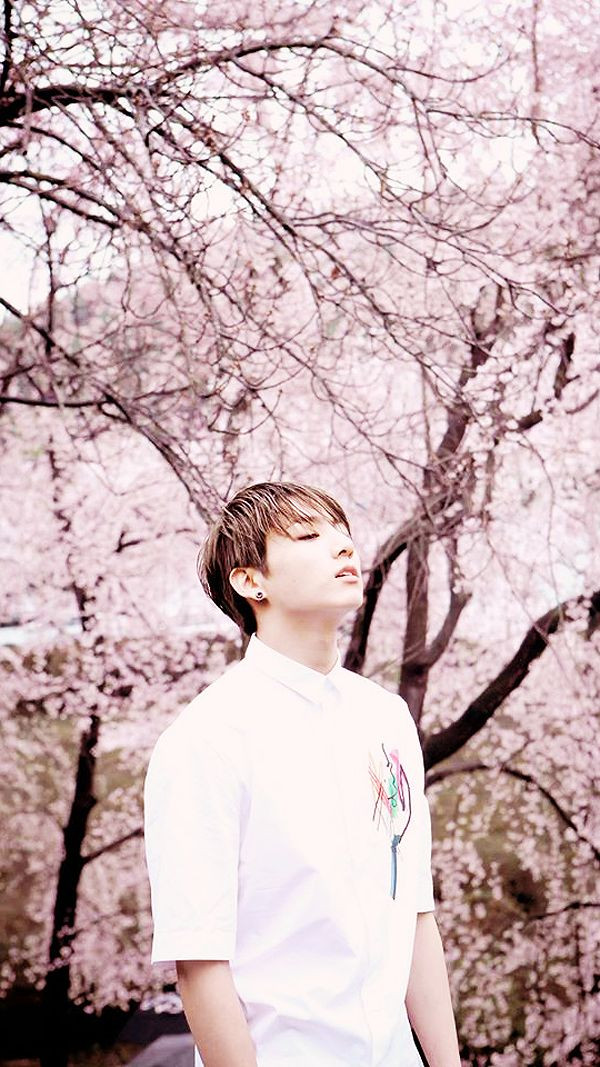 Bts Wallpaper For Iphone - Bts Jungkook Wallpaper Hd , HD Wallpaper & Backgrounds