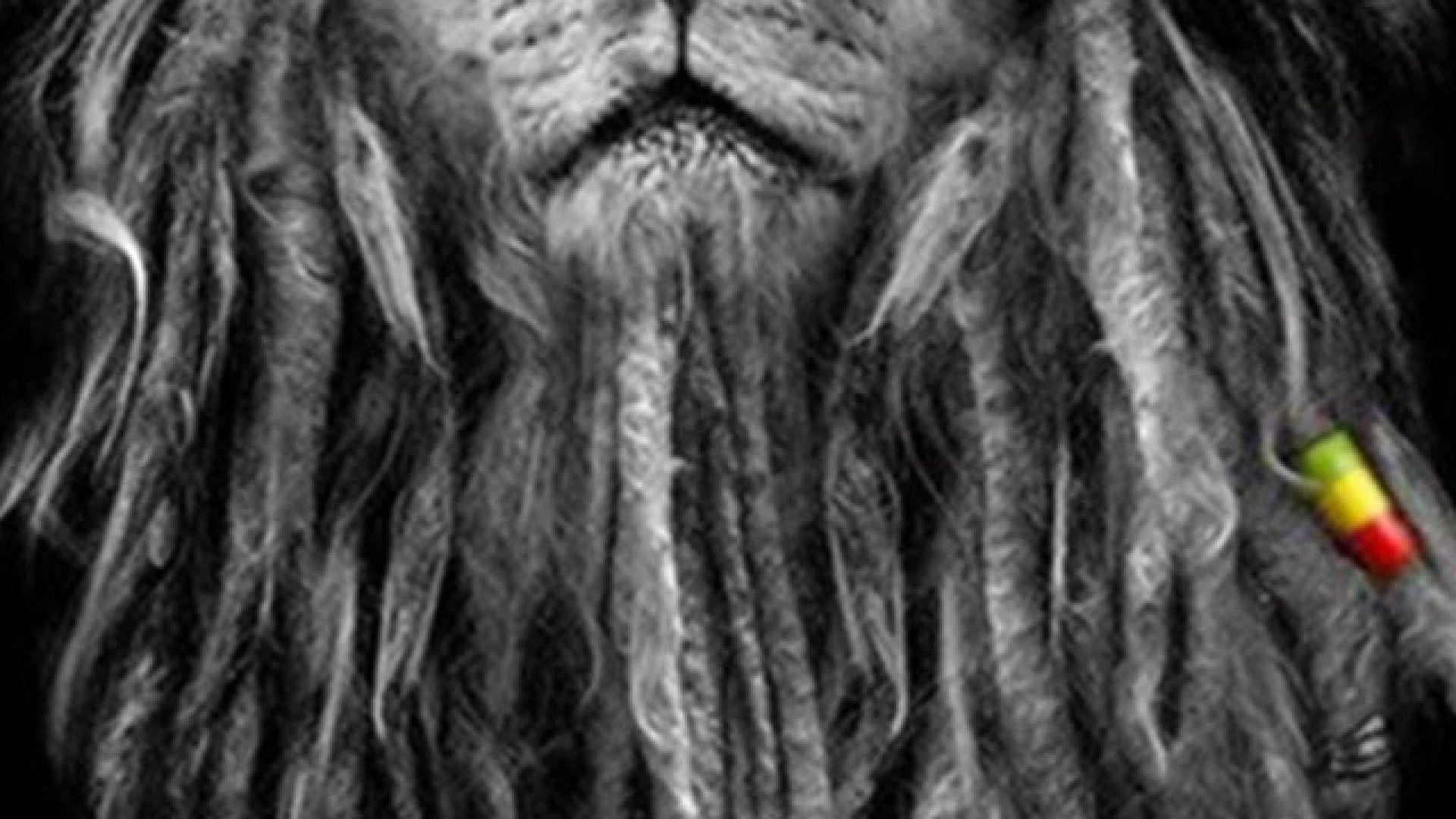 Download - Rasta Lion , HD Wallpaper & Backgrounds