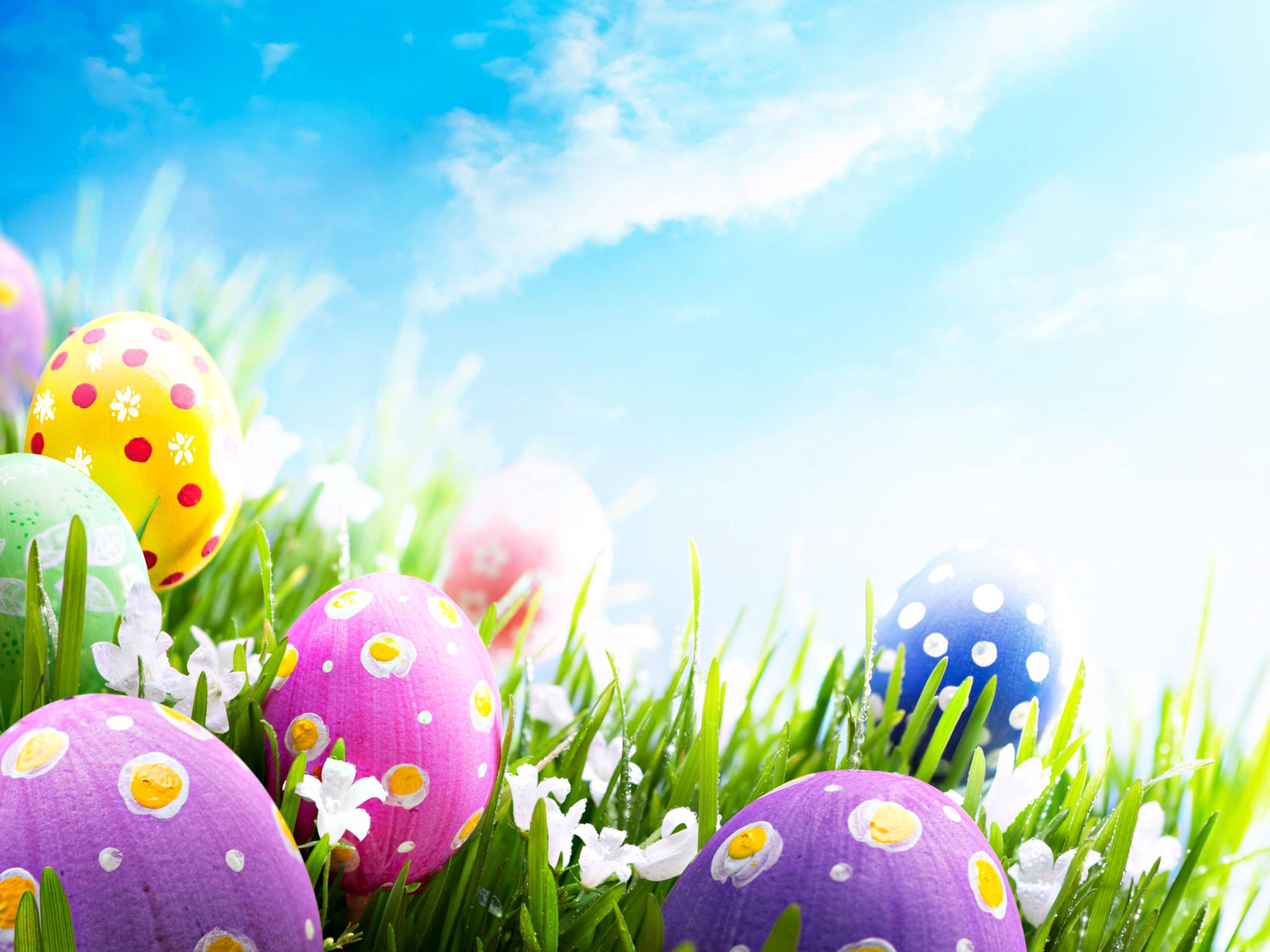Happy Easter Every One , HD Wallpaper & Backgrounds