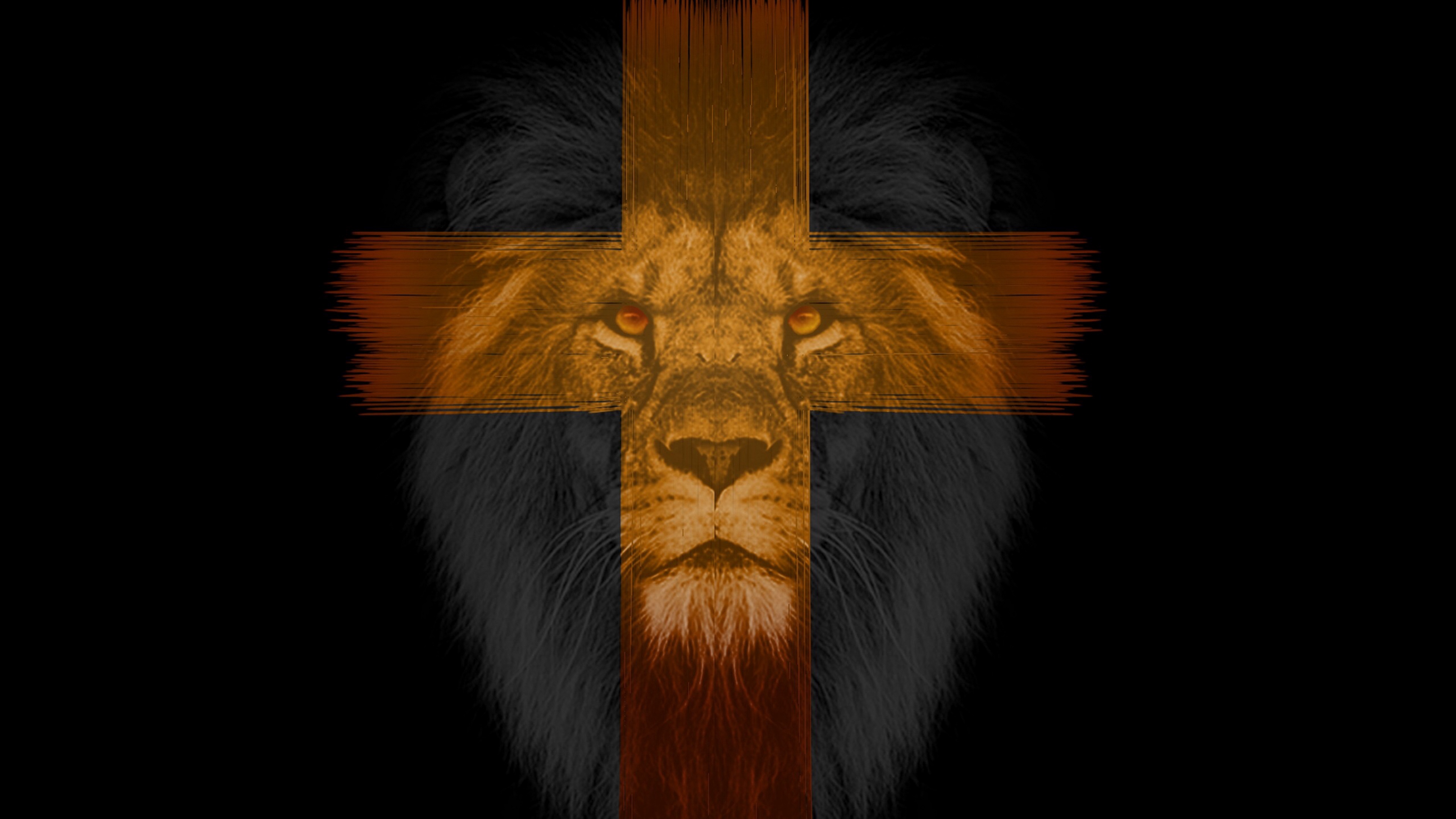 Wallpaper Lion, Cross, Muzzle, Dark - Cross With Lion Background , HD Wallpaper & Backgrounds