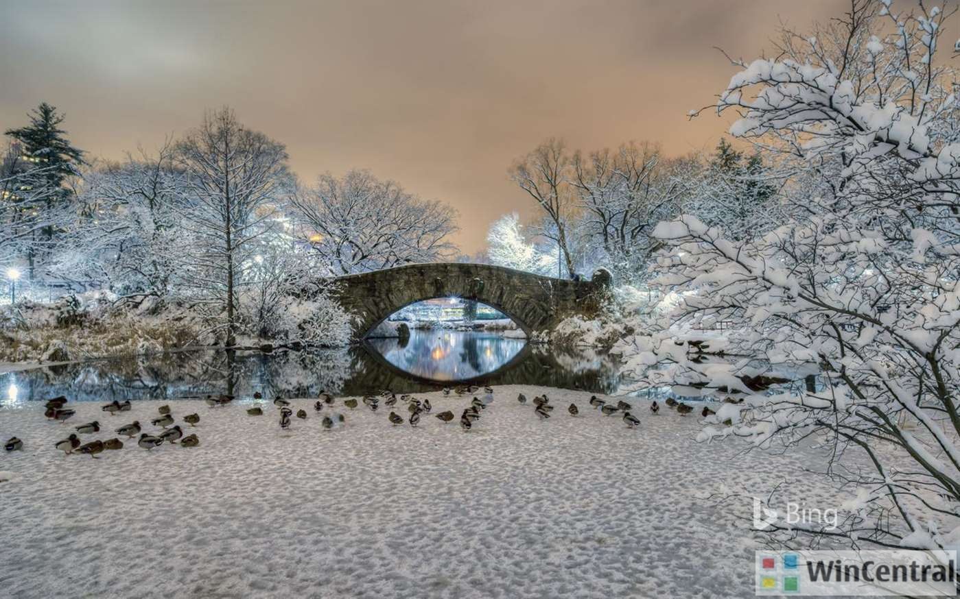 Microsoft Has Launched A New App “bing In Winter” For - Central Park Winter Desktop Backgrounds , HD Wallpaper & Backgrounds