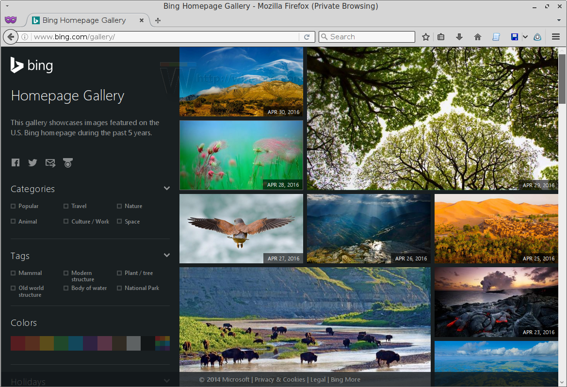 Bing Gallery - Iorise Bing , HD Wallpaper & Backgrounds