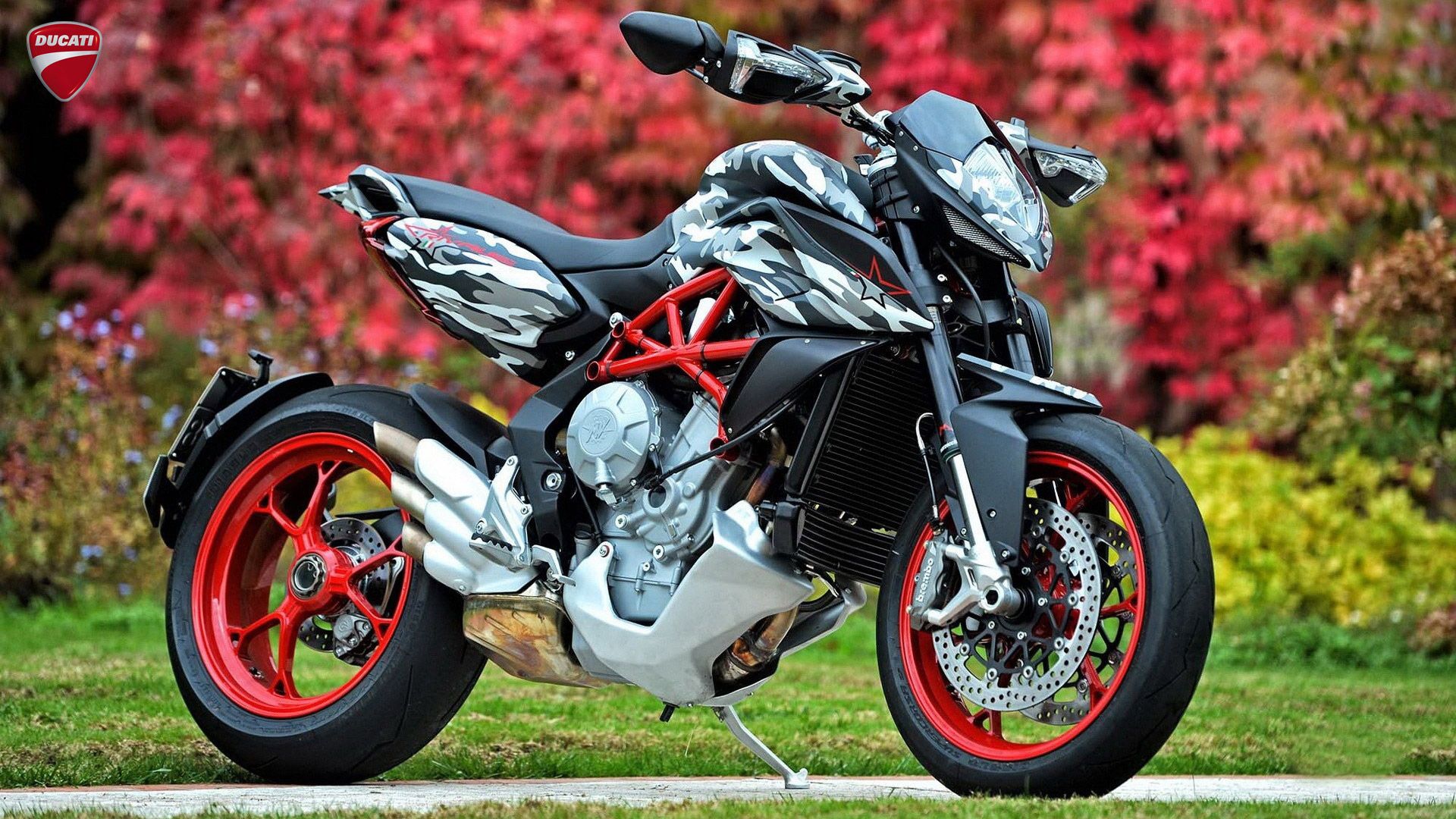 Ducati Monster Bike Hd Wallpapers - Ducati Bike Images In Hd , HD Wallpaper & Backgrounds
