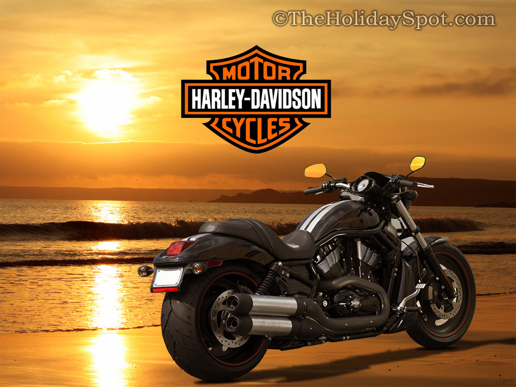 Harley Davidson Wallpaper - Cool Harley Davidson Hd , HD Wallpaper & Backgrounds