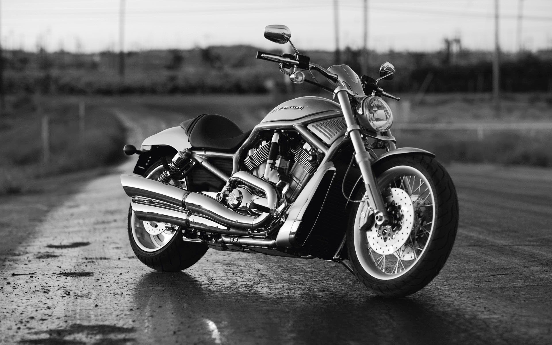 Harley Davidson Bike Hd , HD Wallpaper & Backgrounds