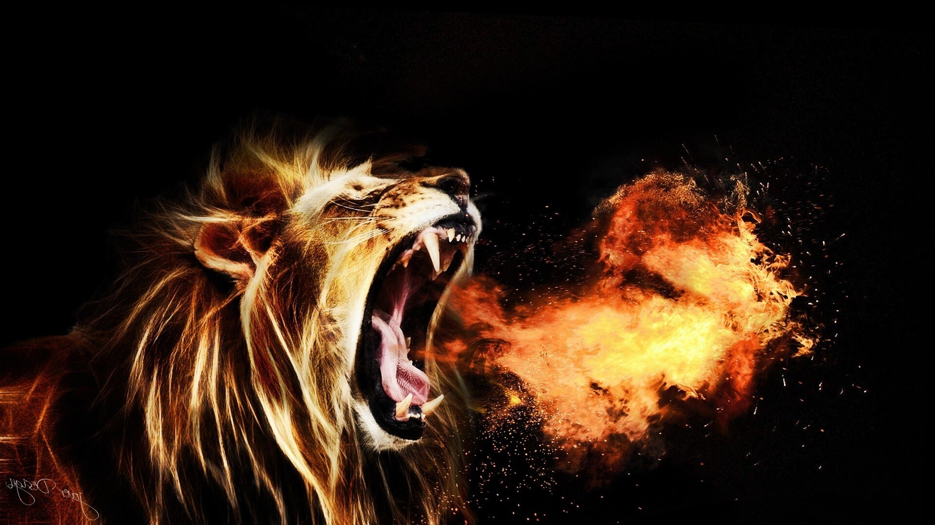 Download <== - Roaring Lion Images Hd , HD Wallpaper & Backgrounds