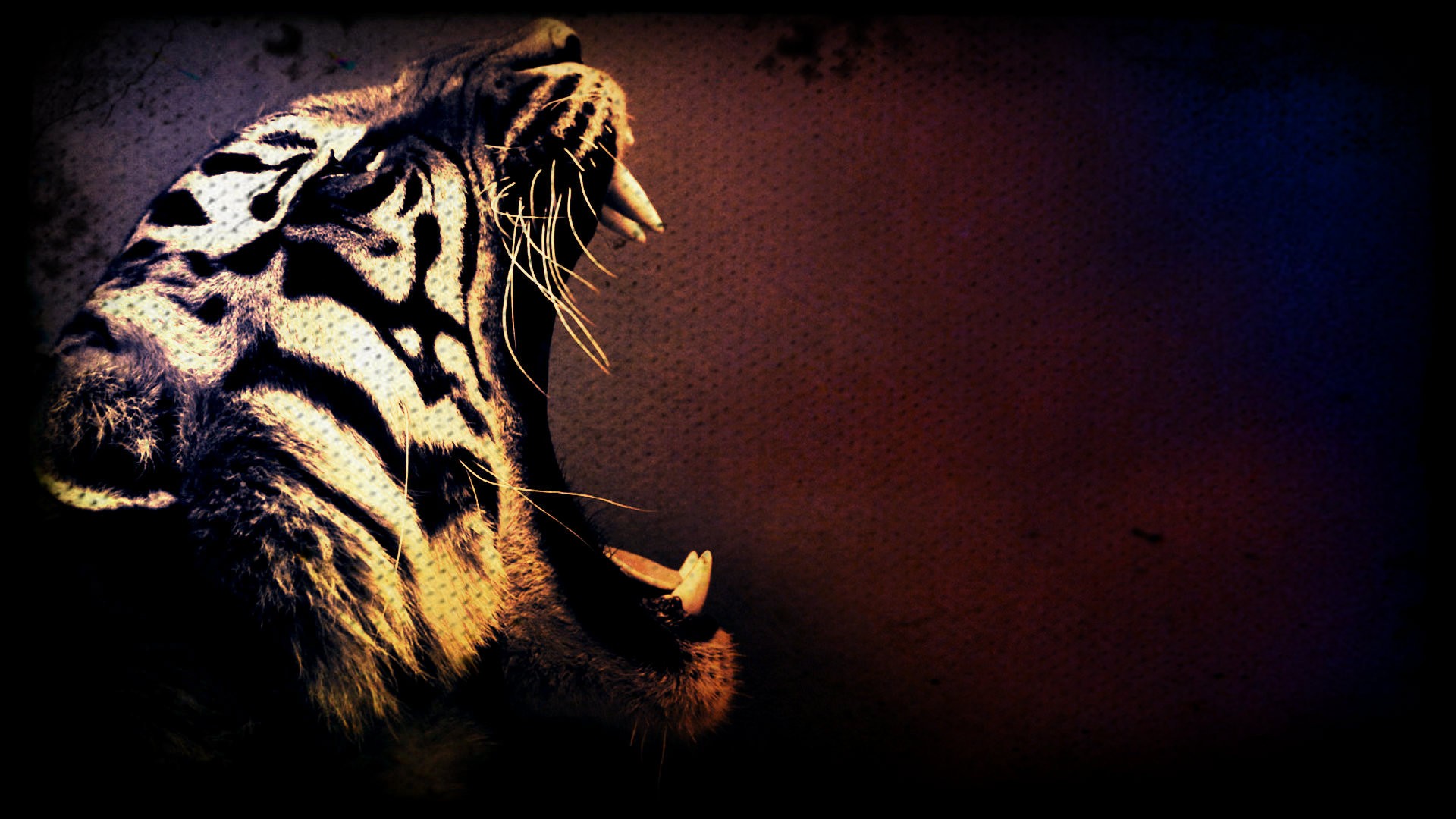 3d Tiger Hd Wallpaper , HD Wallpaper & Backgrounds
