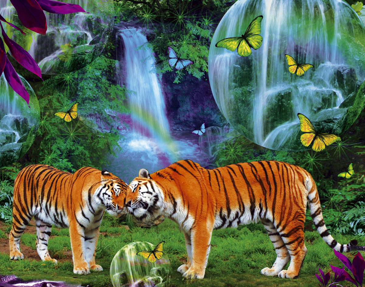 Tigerclan Images Tiger Hd Wallpaper And Background - Pretty Pictures Of Tigers , HD Wallpaper & Backgrounds