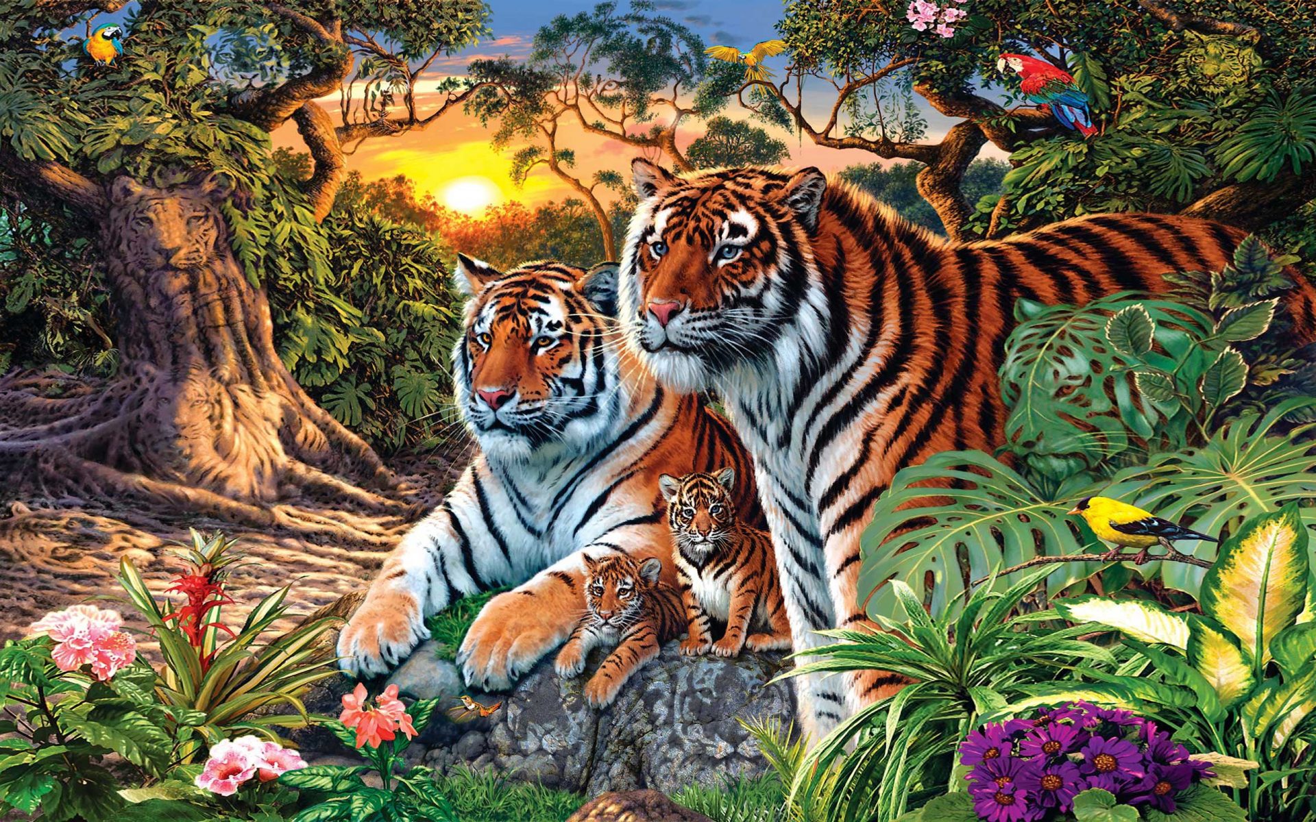 Tiger Family , HD Wallpaper & Backgrounds
