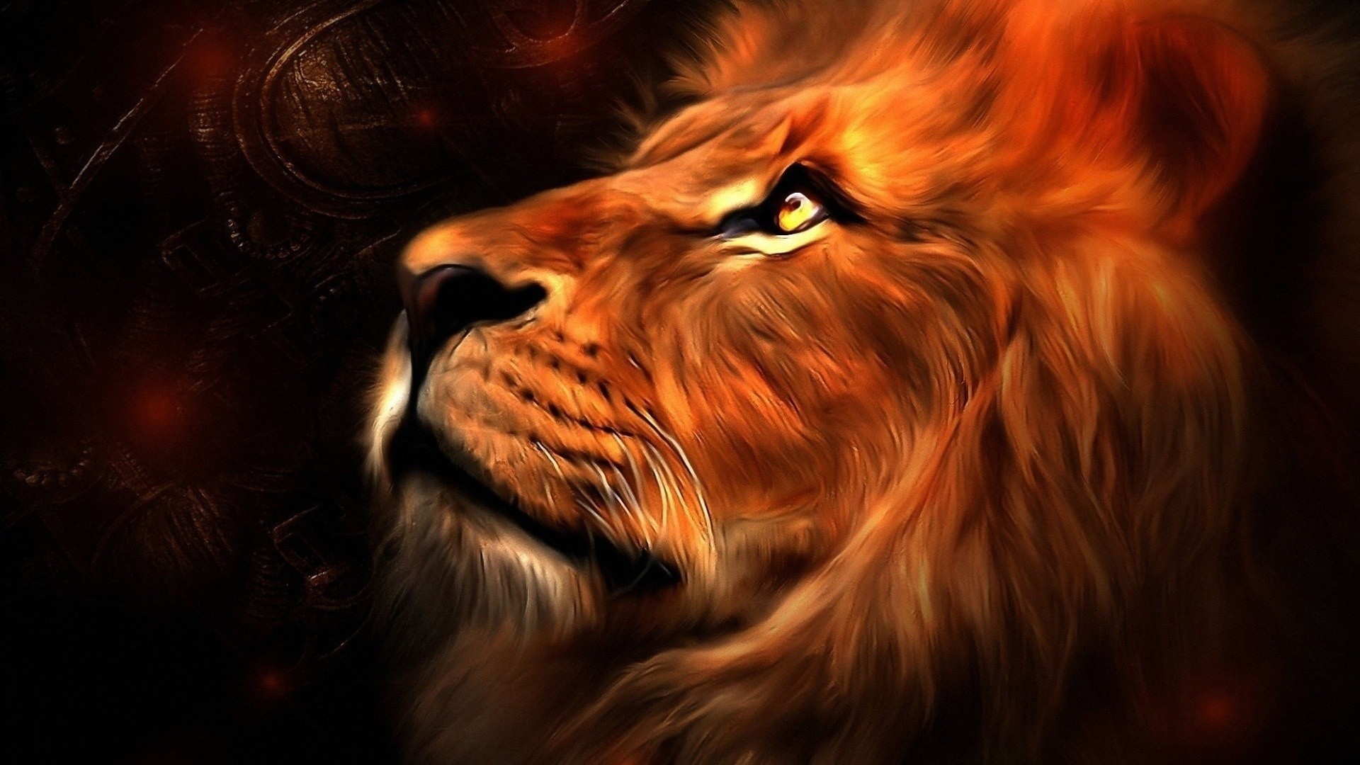 Lion Wallpapers - High Resolution Wallpapers Lion , HD Wallpaper & Backgrounds