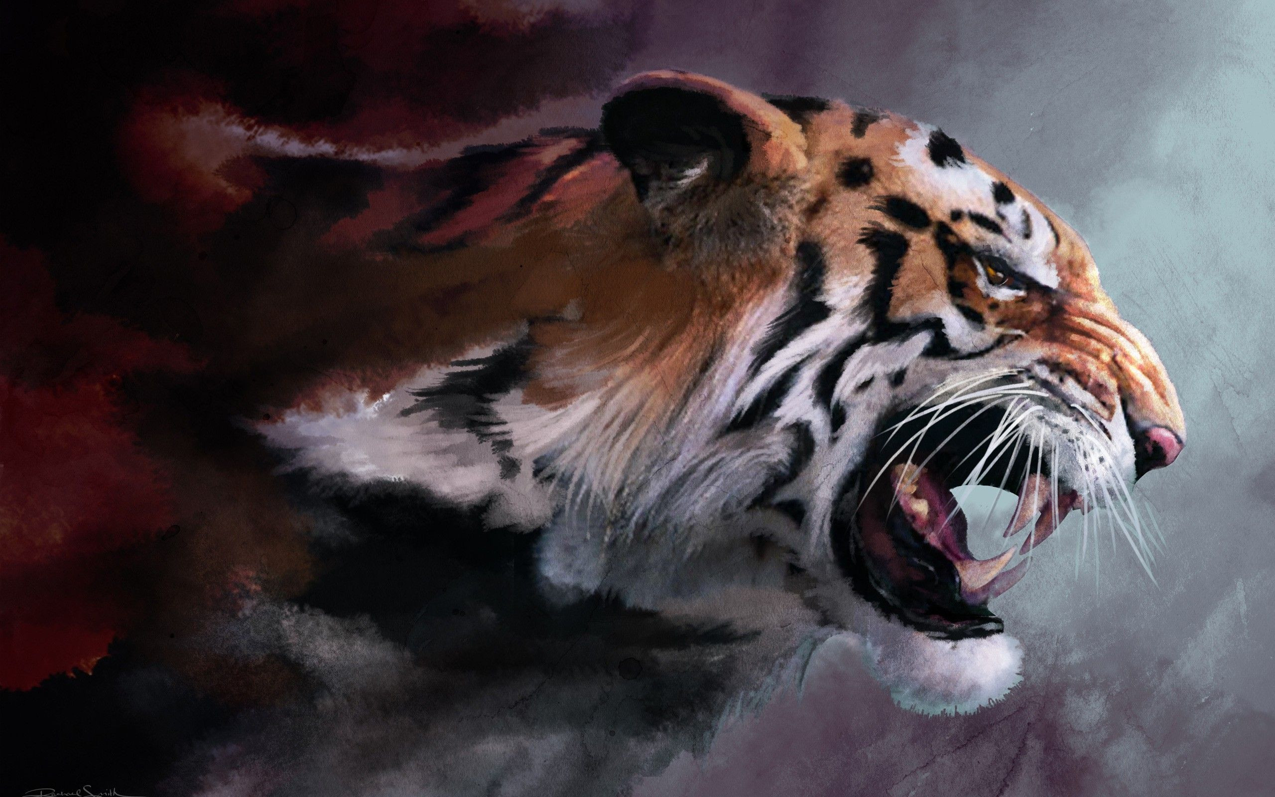 Widescreen Tiger Hd Wallpapers And Backgrounds Wallpaper - Angry Tiger , HD Wallpaper & Backgrounds