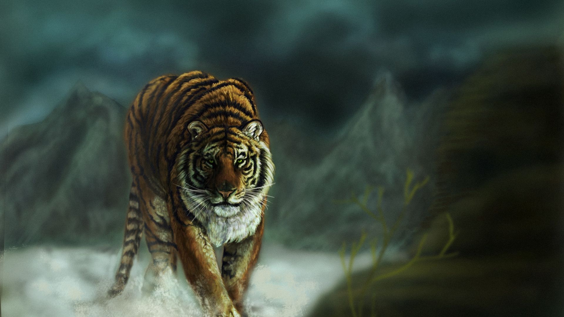 Tiger Hd Full Hd Wallpaper - Tiger Images Hd Full , HD Wallpaper & Backgrounds