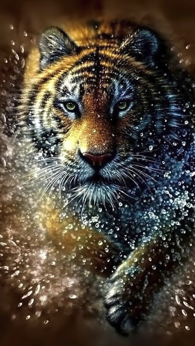 Cool Tiger , HD Wallpaper & Backgrounds