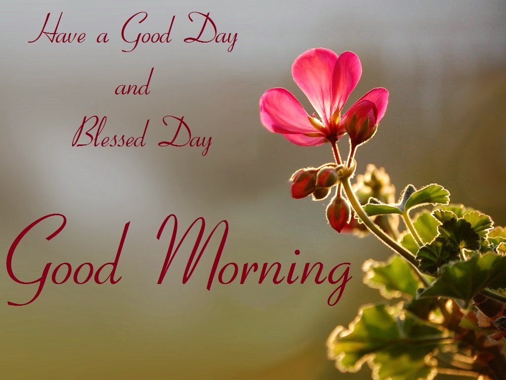 Good Morning And Blessed Day , HD Wallpaper & Backgrounds