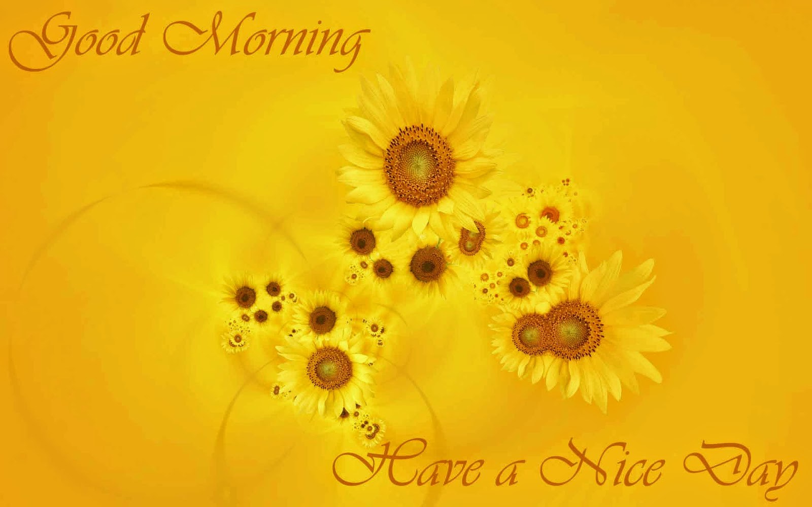 Image Friends Pics Quote Wish Good Morning Hd Wallpapers - Have A Good Day Yellow , HD Wallpaper & Backgrounds