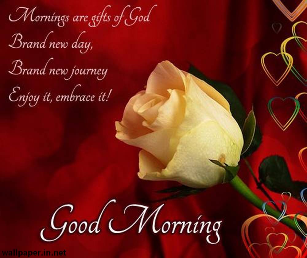Lovely Good Morning Wallpaper Download Thought Love Good Morning