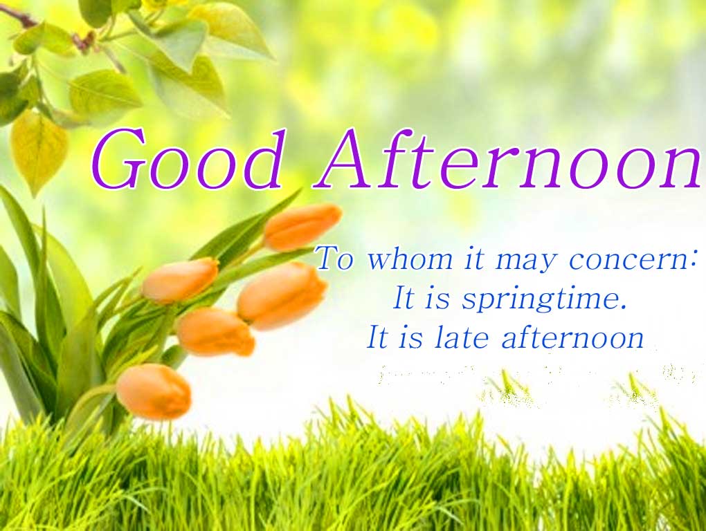 Good Afternoon Photo Pics Images Wallpaper Pics With - Good Afternoon , HD Wallpaper & Backgrounds