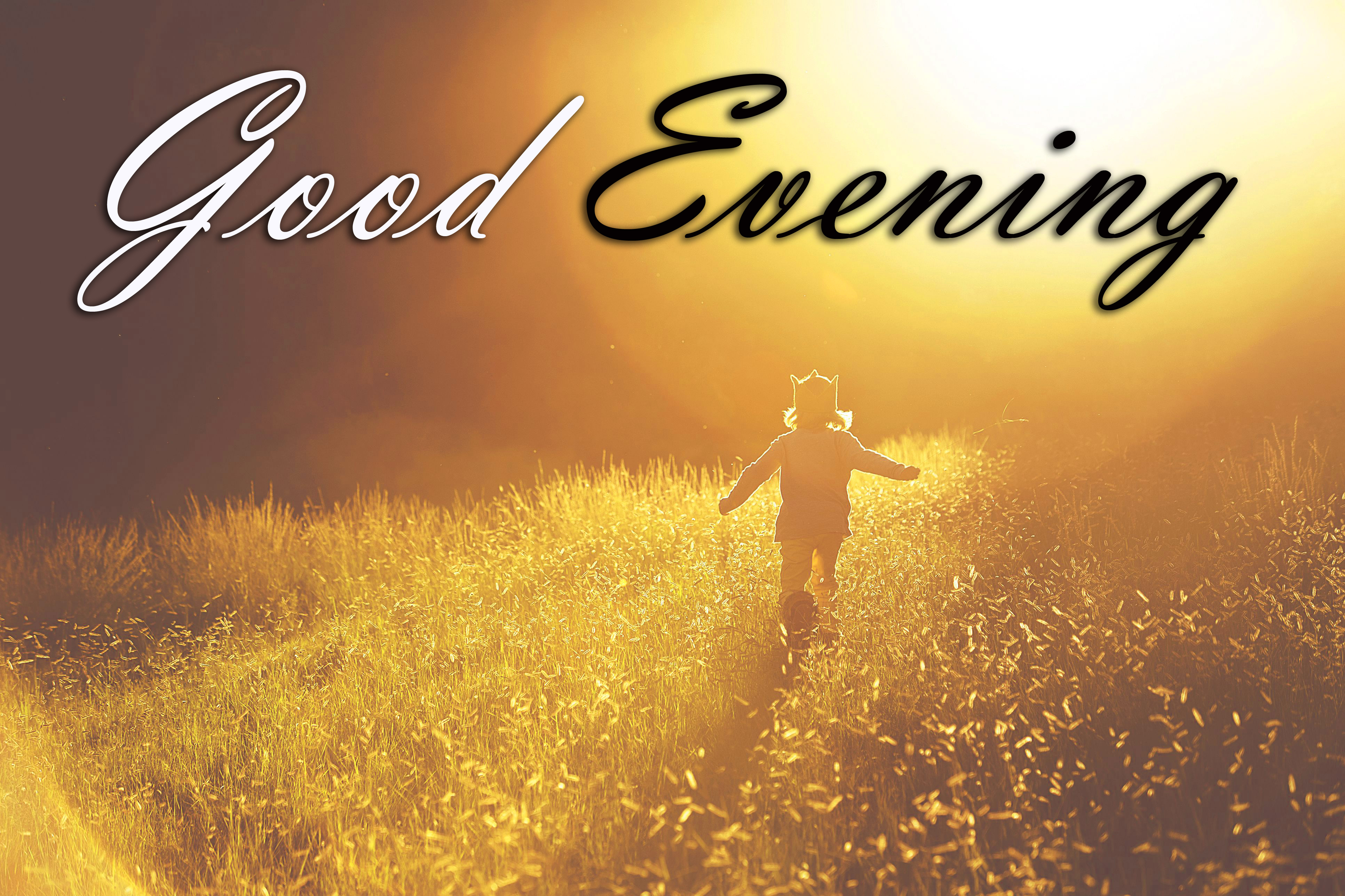 Good evening картинки оригинальные