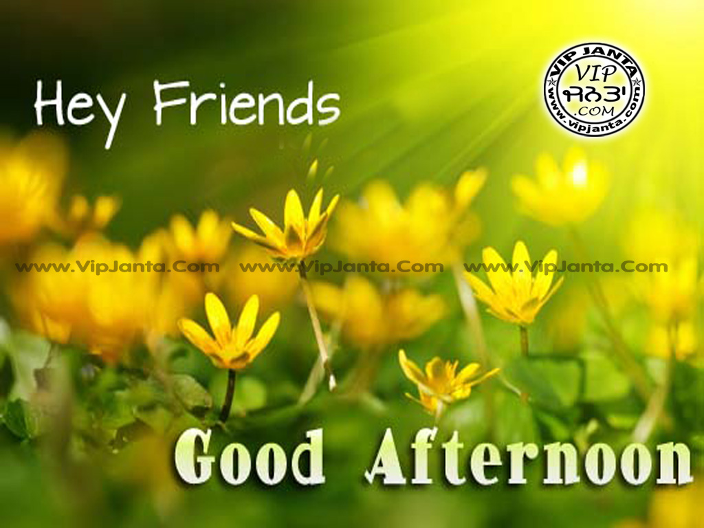Gud - Hi Friends Good Afternoon , HD Wallpaper & Backgrounds