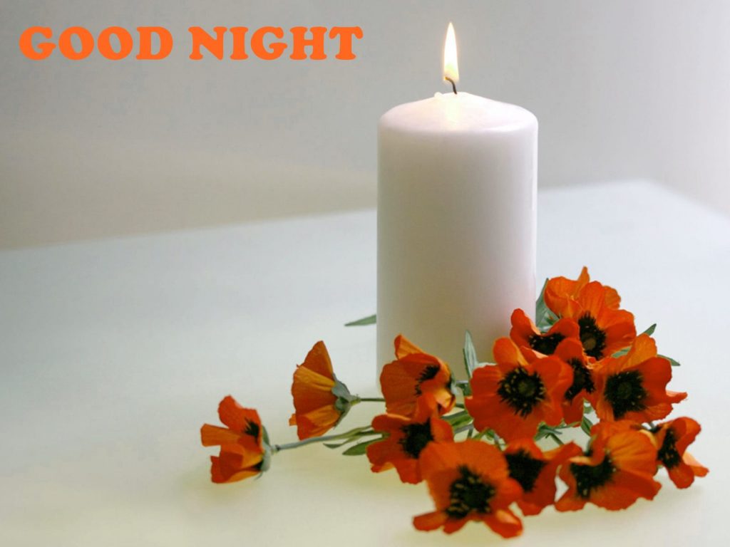 Good Night Candle And Flowers Hd Wallpaper Pic - Good Night Flowers Image Hd , HD Wallpaper & Backgrounds