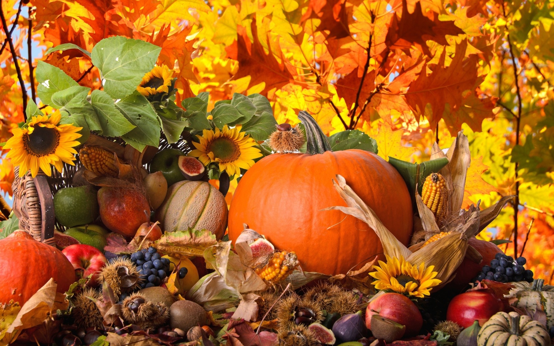 Thanksgiving Wallpapers Mobile - Thanksgiving Desktop Background , HD Wallpaper & Backgrounds