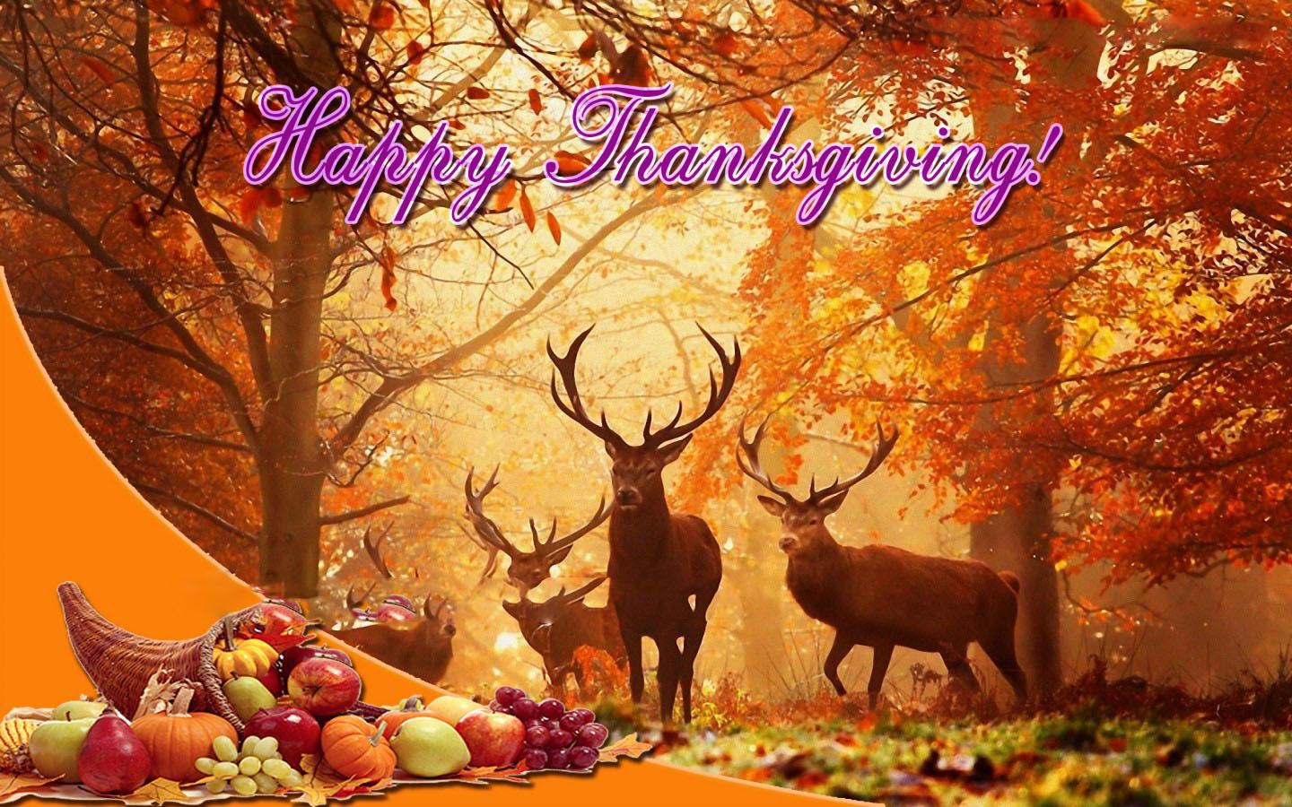 Thanksgiving Wallpaper - Happy Thanksgiving 2017 , HD Wallpaper & Backgrounds