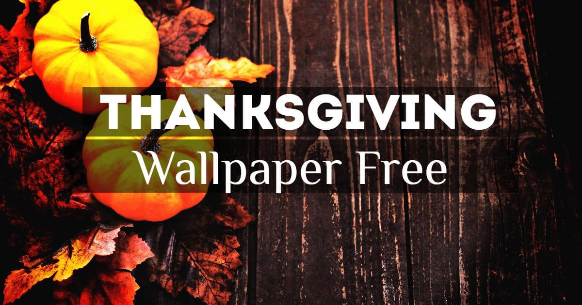 Thanksgiving Wallpapers, Free Thanksgiving Wallpaper - Thanksgiving , HD Wallpaper & Backgrounds
