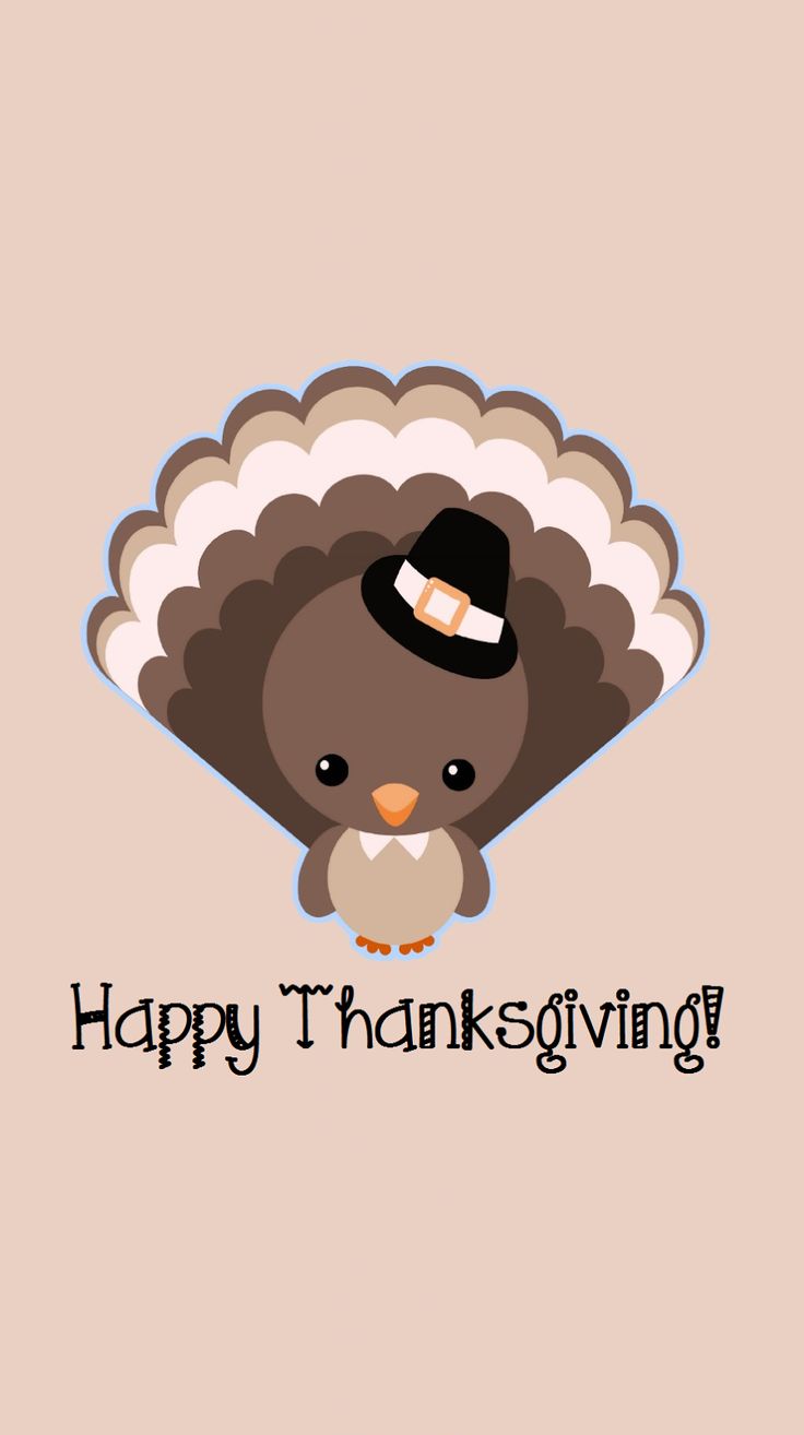 Funny Thanksgiving - Happy Thanksgiving Cute , HD Wallpaper & Backgrounds