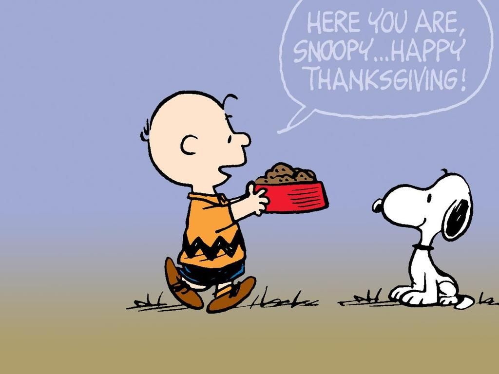 Peanuts Thanksgiving Wallpaper 622473 - Peanuts Happy Thanksgiving , HD Wallpaper & Backgrounds