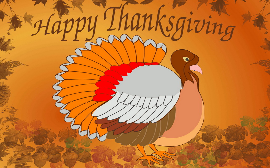 Thanksgiving Wallpapers - 2016 Happy Thanksgiving Funny , HD Wallpaper & Backgrounds