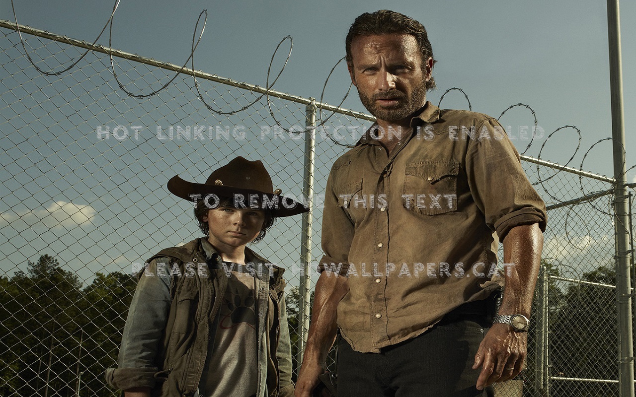 The Walking Dead , HD Wallpaper & Backgrounds