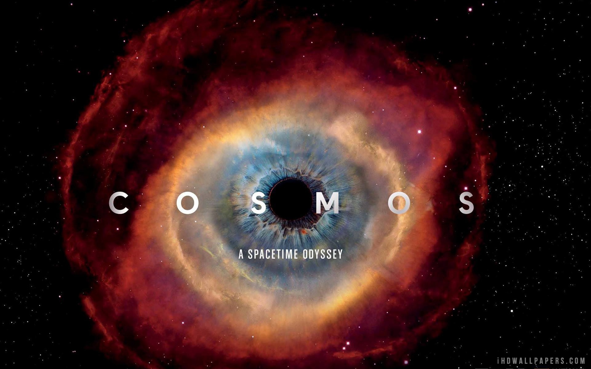 Cosmos Show , HD Wallpaper & Backgrounds