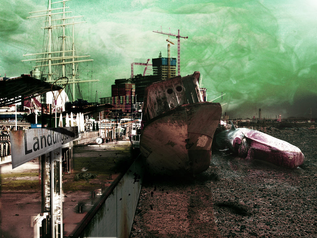 Shipwreck , HD Wallpaper & Backgrounds