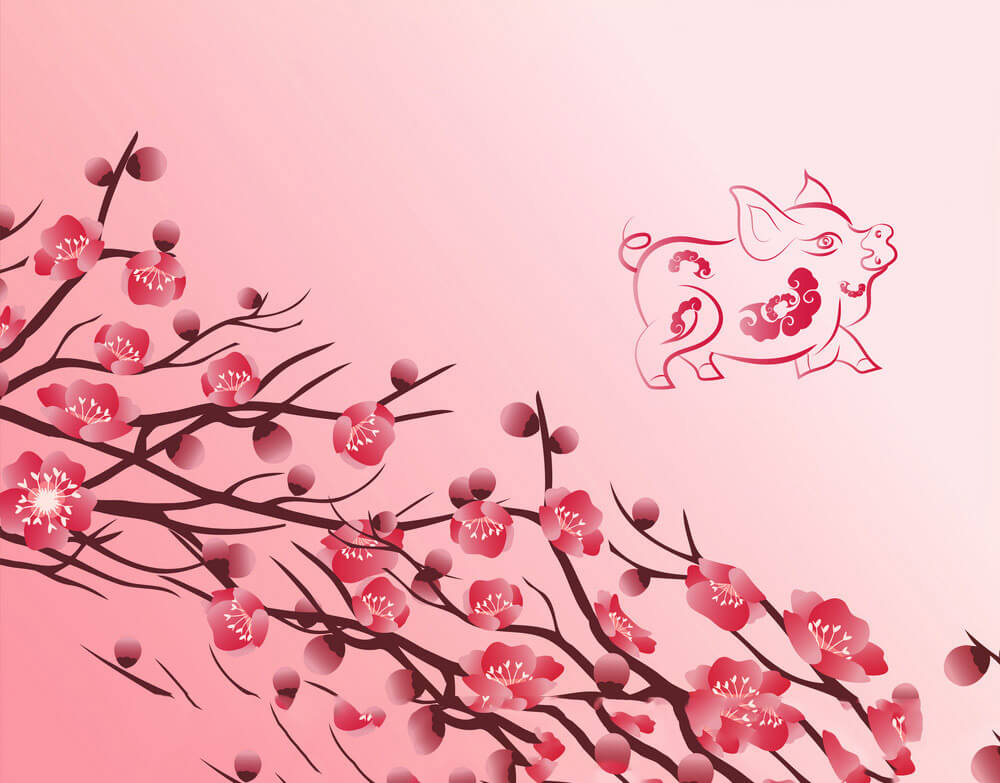 50 Buc Thiep Va Hinh Nen Chuc Tet - Chinese New Year 2019 Background , HD Wallpaper & Backgrounds